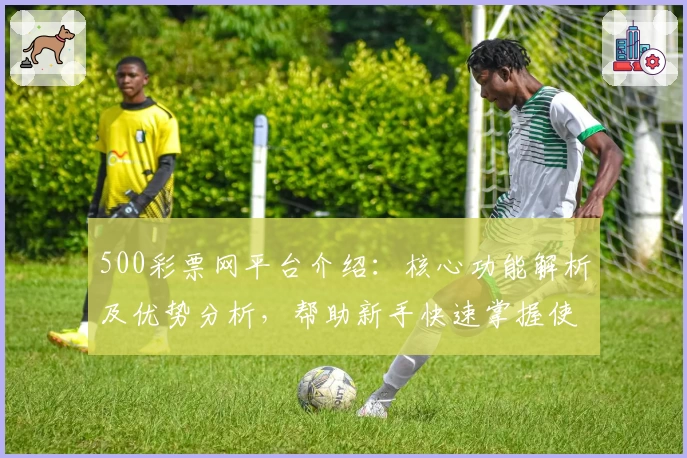 500彩票网平台介绍：核心功能解析及优势分析，帮助新手快速掌握使用技巧